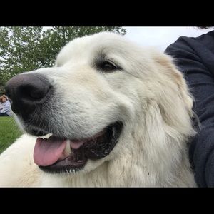 Meet your Posher, Jamie